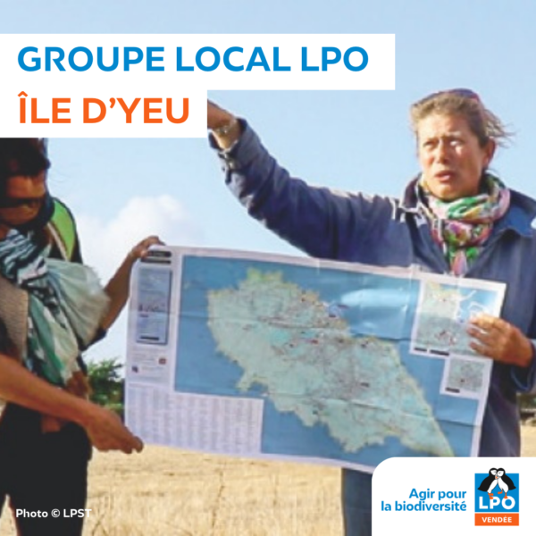 Groupe local LPO Yeu
