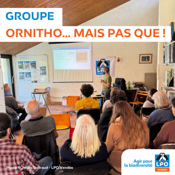 Groupe ornitho … mais pas que!