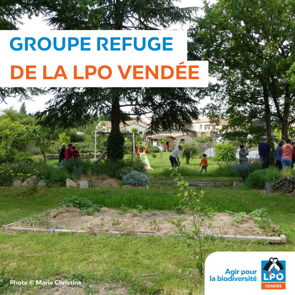 Groupe Refuge LPO de la LPO Vendée Photo © Marie Christine