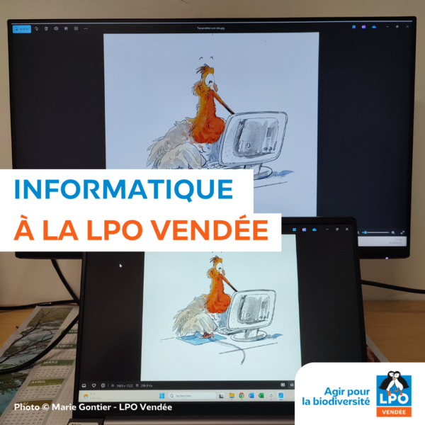Informatique