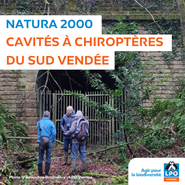 Natura 2000 Cavités à chiroptères du sud Vendée
