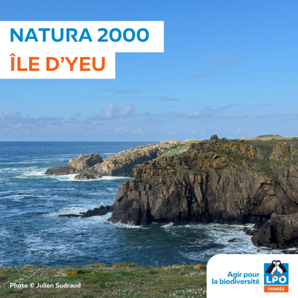 Site Natura 2000 “Côtes rocheuses, dunes, landes et marais de l’île d’Yeu”