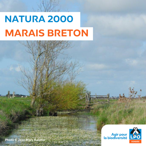 Natura 2000 en Marais breton