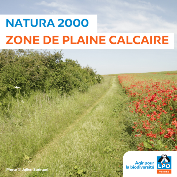 Natura 2000 en zone de plaine calcaire