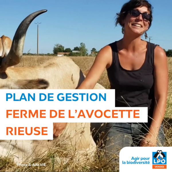 Plan de gestion de la ferme de l’Avocette rieuse