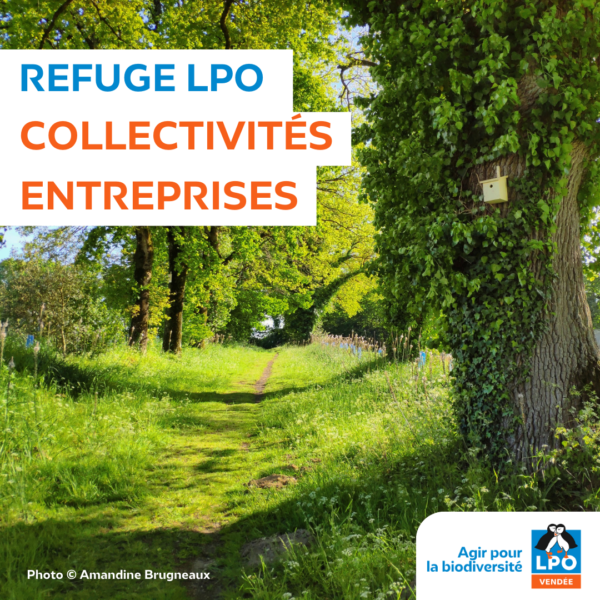 Refuges LPO Collectivités / Entreprises