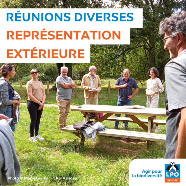 Réunions diverses : représentation extérieure de la LPO 85