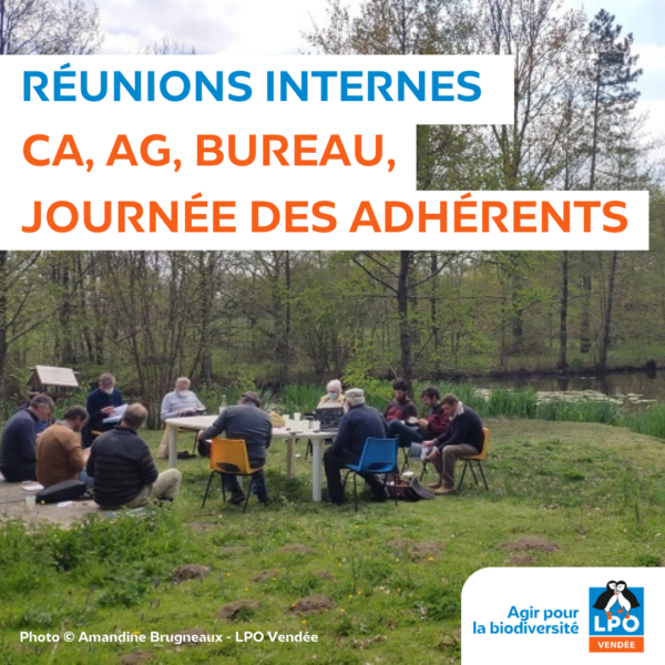 Réunions internes LPO 85 (CA, AG, Bureau, journée des adhérents, …)