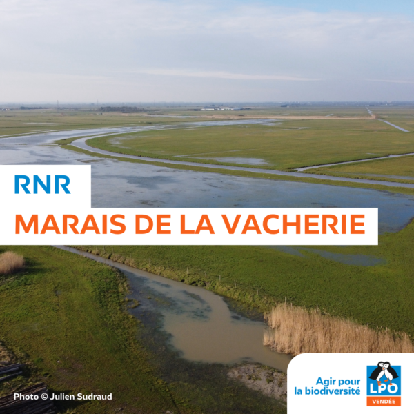 RNR Marais de la Vacherie