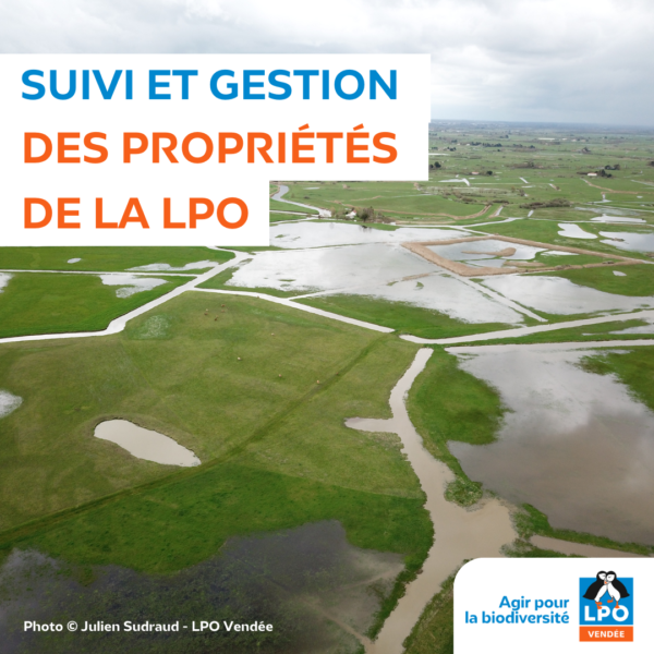 Suivi et gestion des propriétés de la LPO