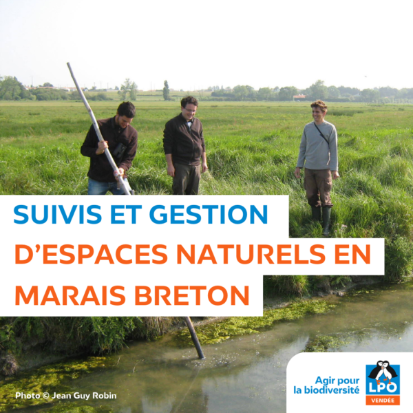 Suivis et gestion d’espaces naturels en Marais breton (Daviaud, STEP La Barre, …)