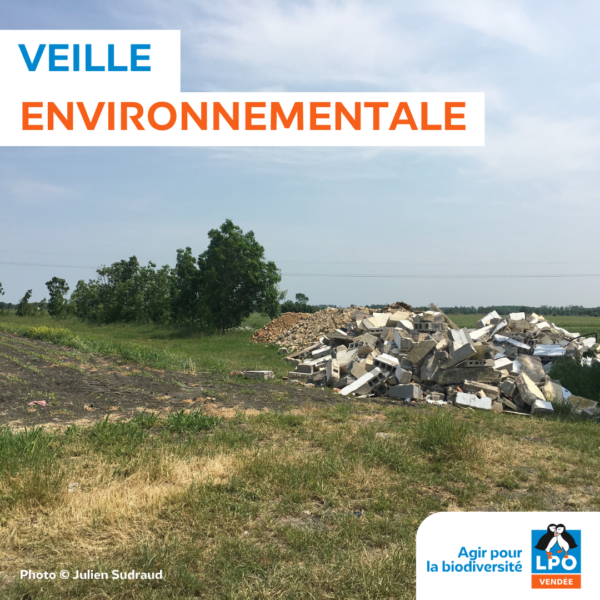 Veille environnementale : eau, rivière, zone humide