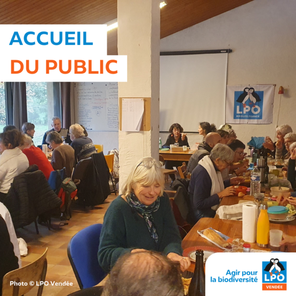 Accueil du public à la LPO Vendée