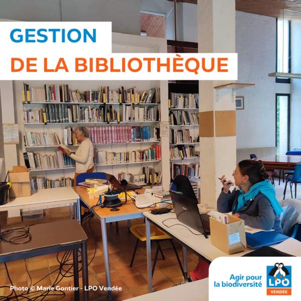 Bibliothèque