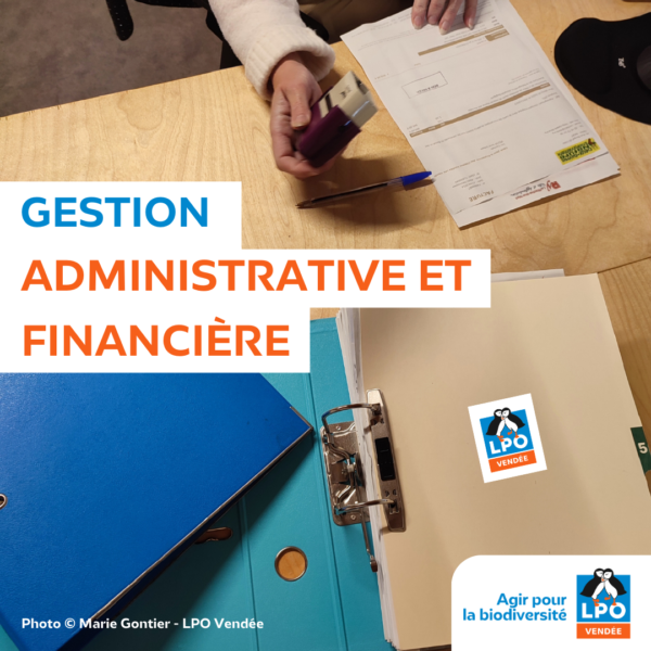 Gestion administrative et financière