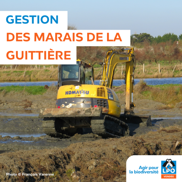 Gestion des marais de la Guittière