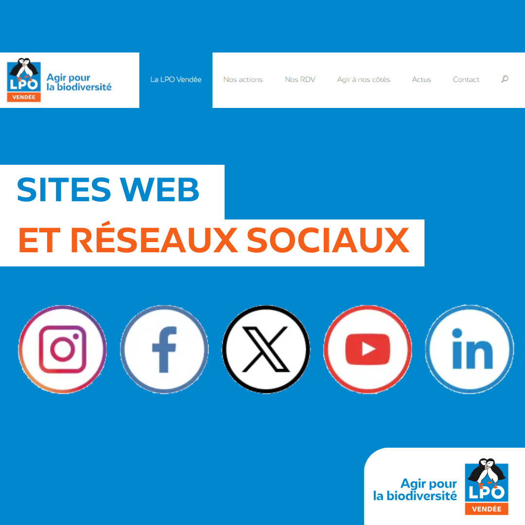 Sites web LPO en Vendée et réseaux sociaux