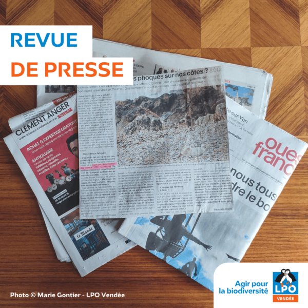 Revue de presse