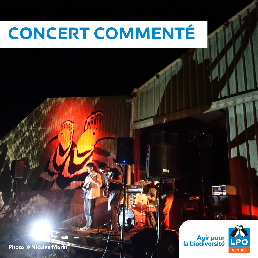Concert commenté