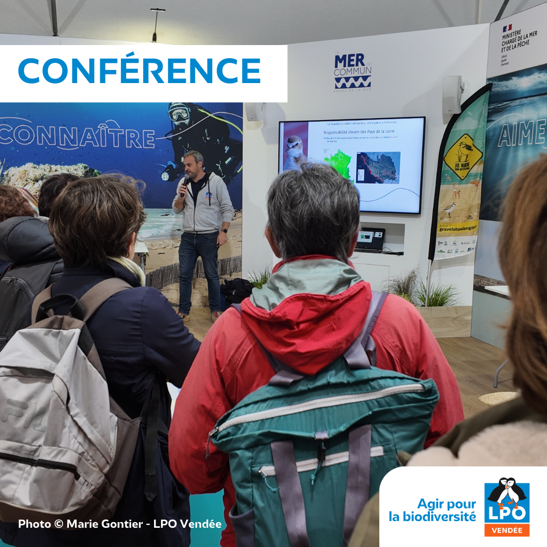 Conférence