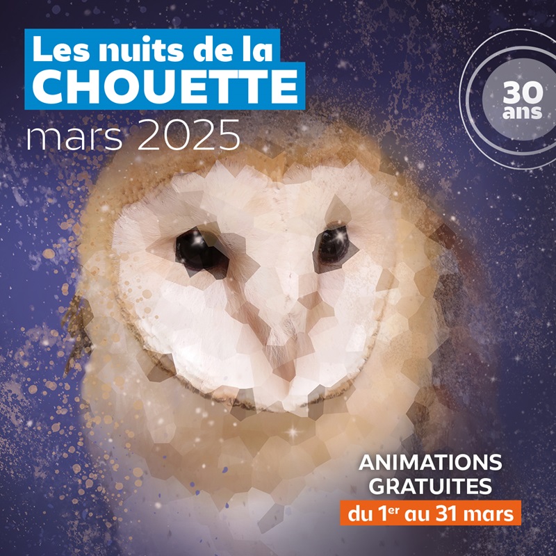 Nuit de la Chouette