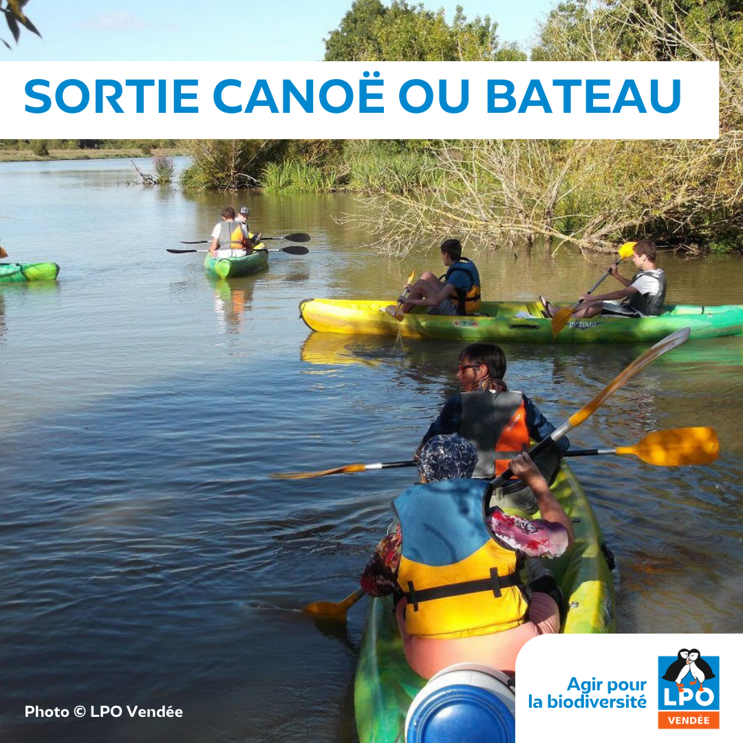 Sortie Canoë ou Bateau