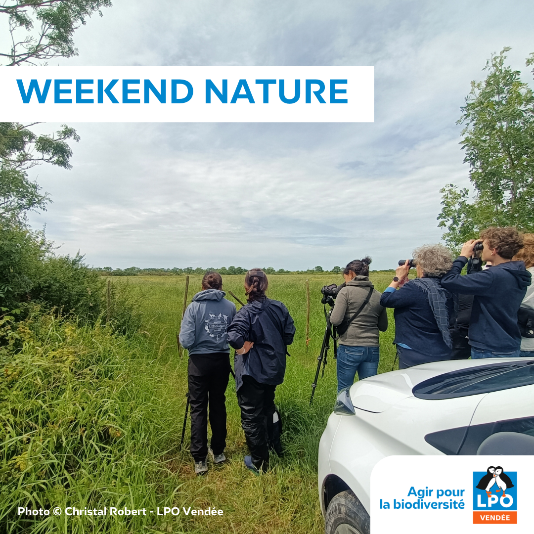 Week-end Nature