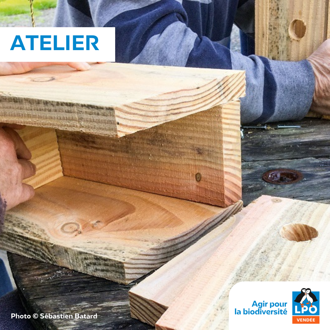 Atelier