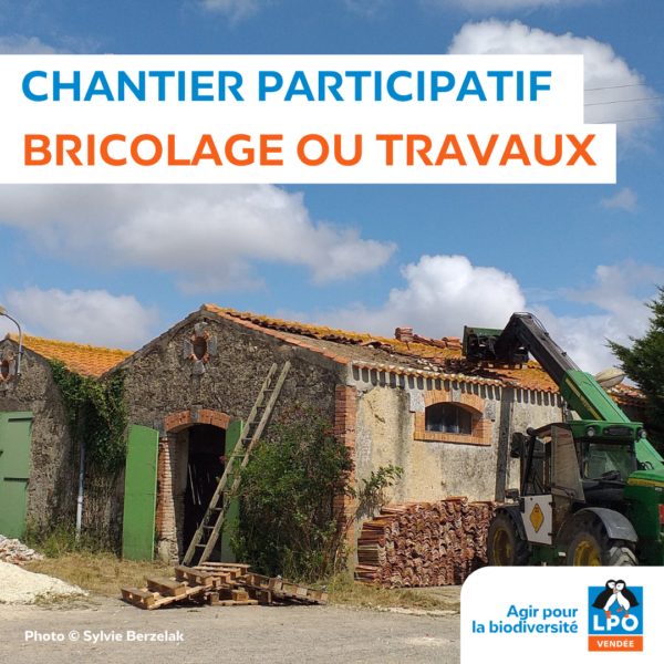 Chantiers participatifs