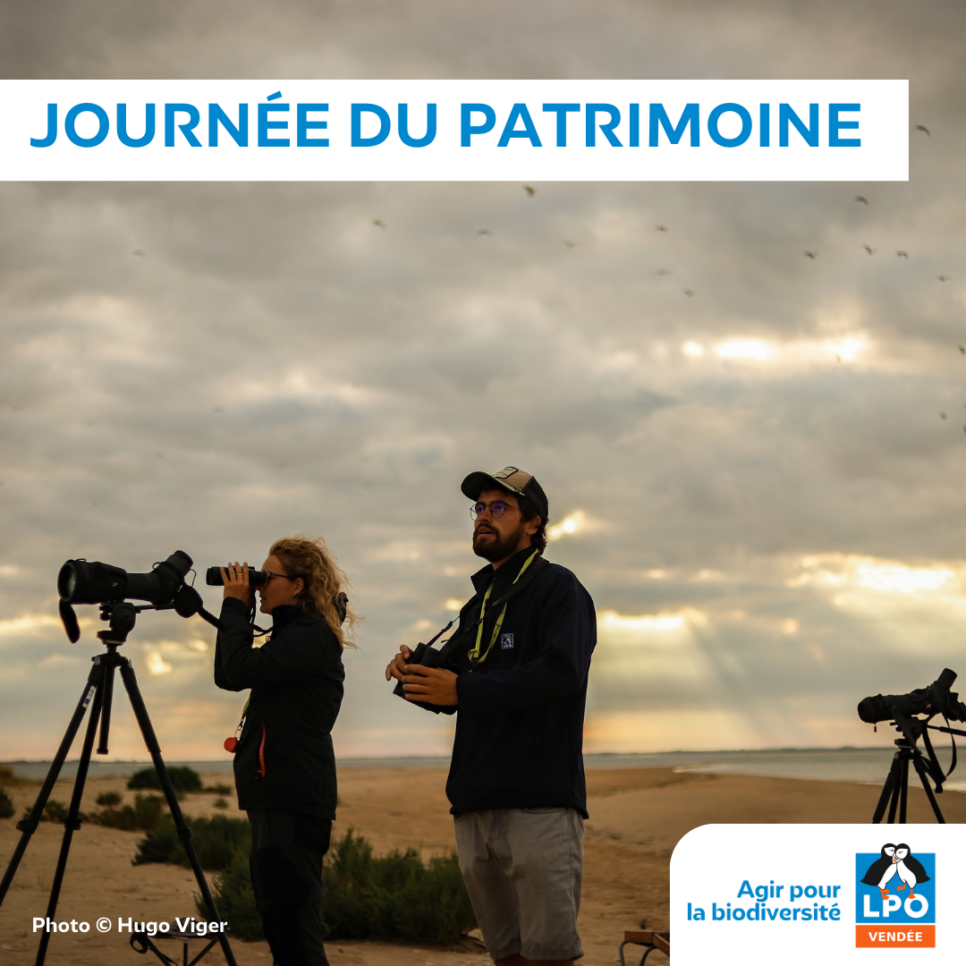 Journées du patrimoine
