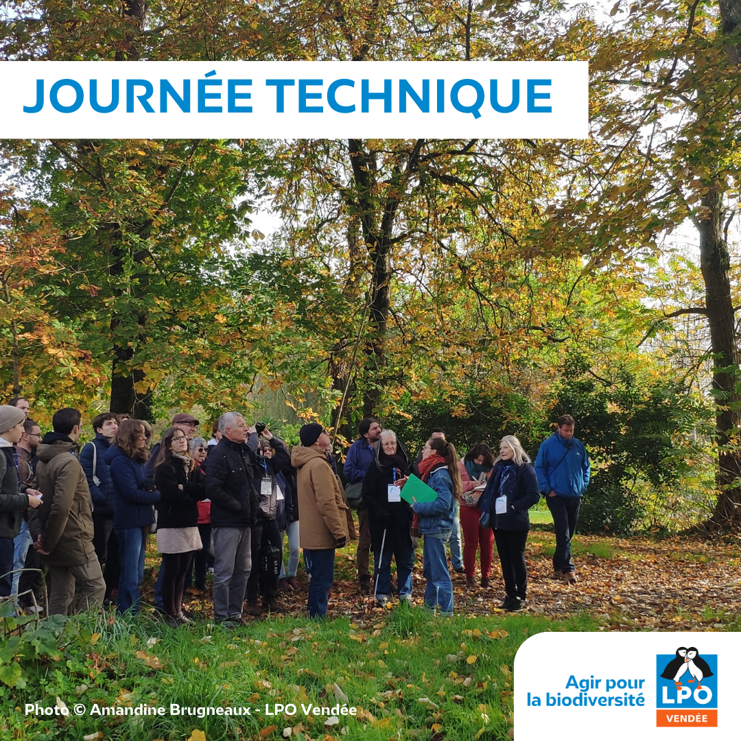 Journée technique