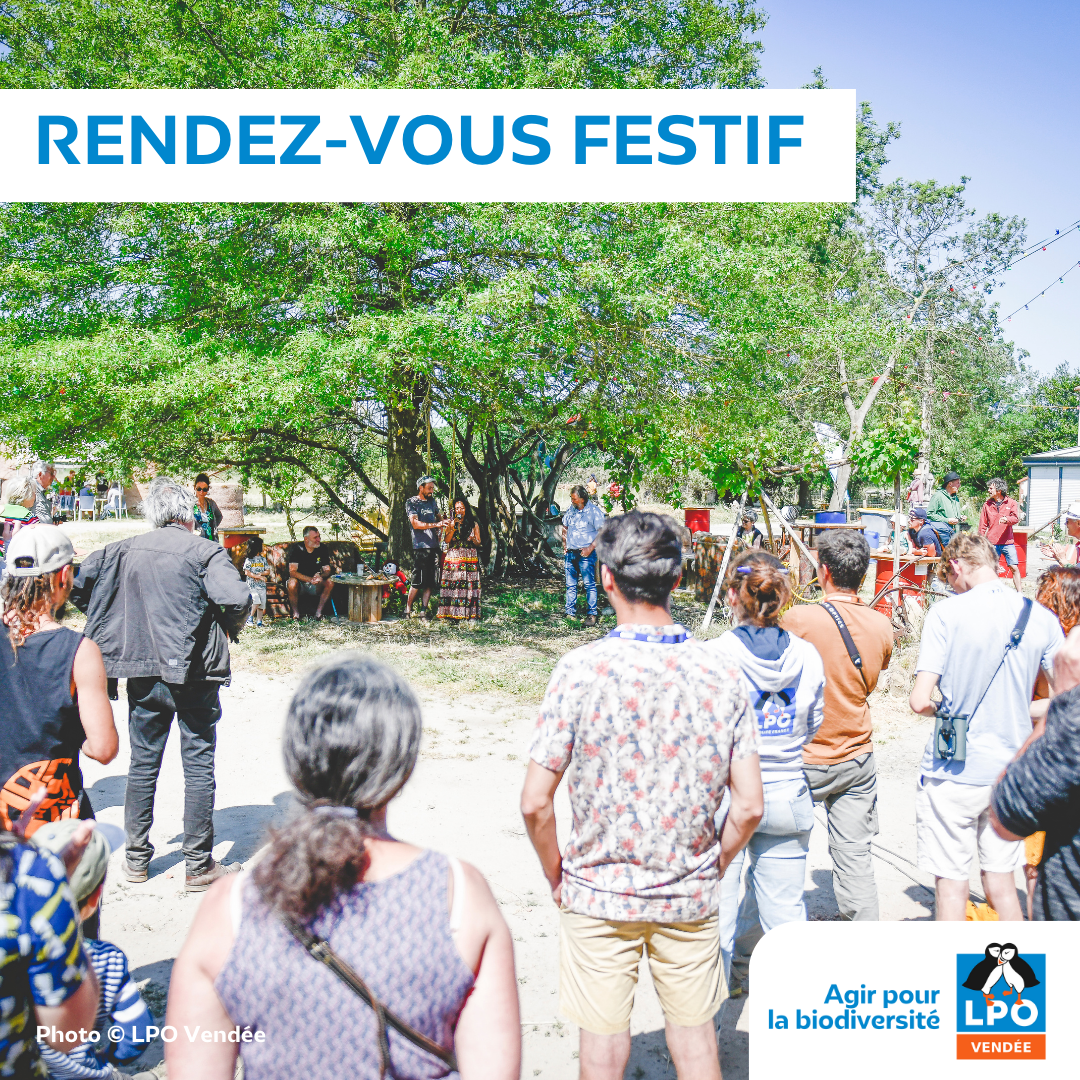Rendez-vous festif