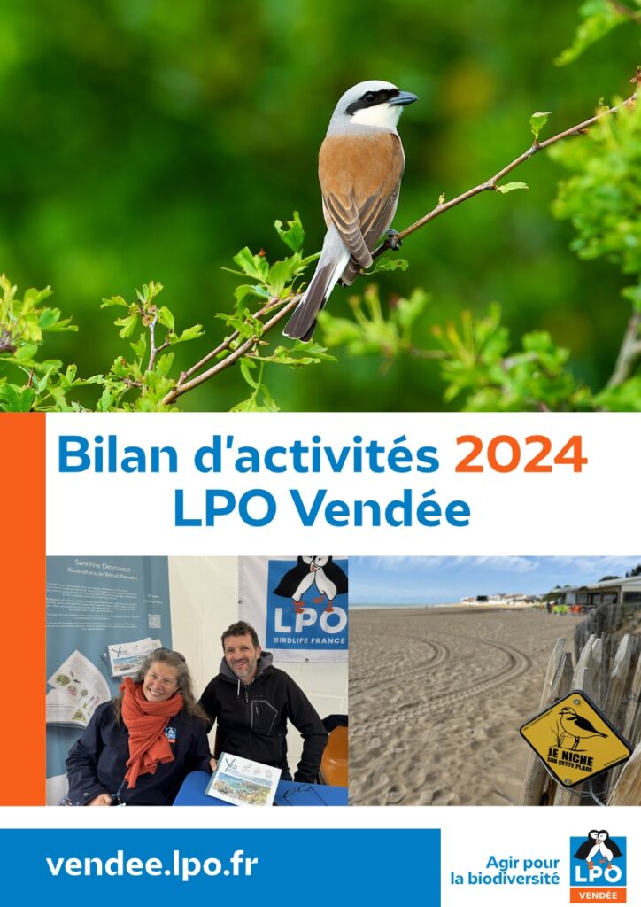 Bilan d'activités 2024 de la LPO Vendée