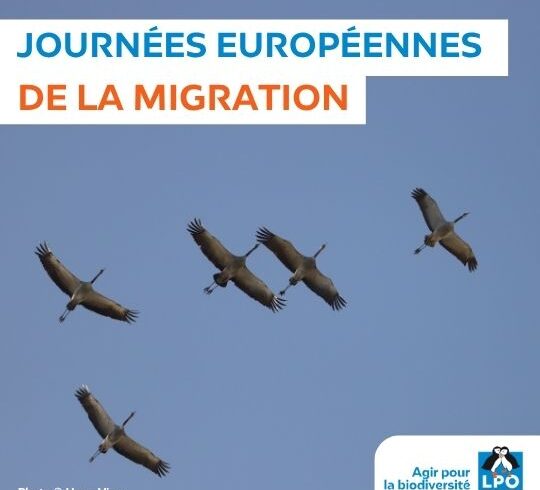 Journées européennes de la migration 2025