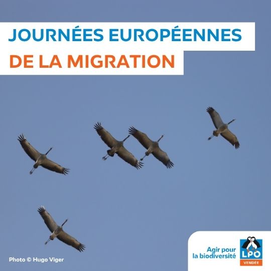 Journées de la migration - Eurobirdwatch