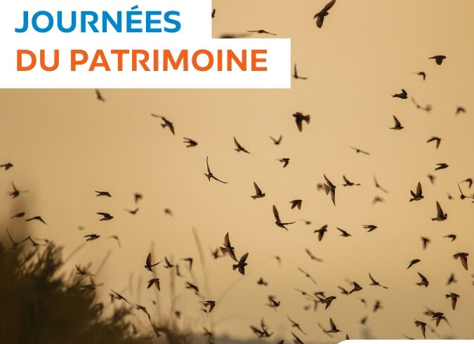 Journées du patrimoine 2025