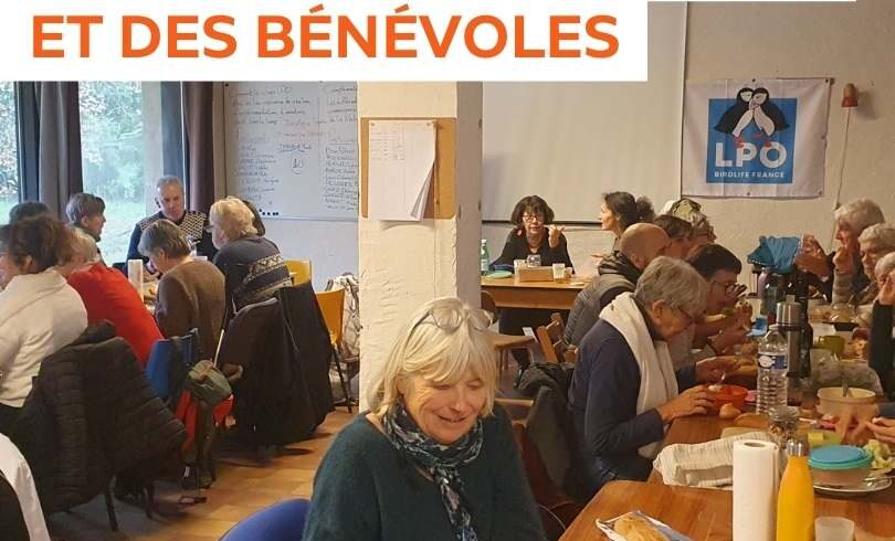 Journée des adhérents et des bénévoles de la LPO Vendée