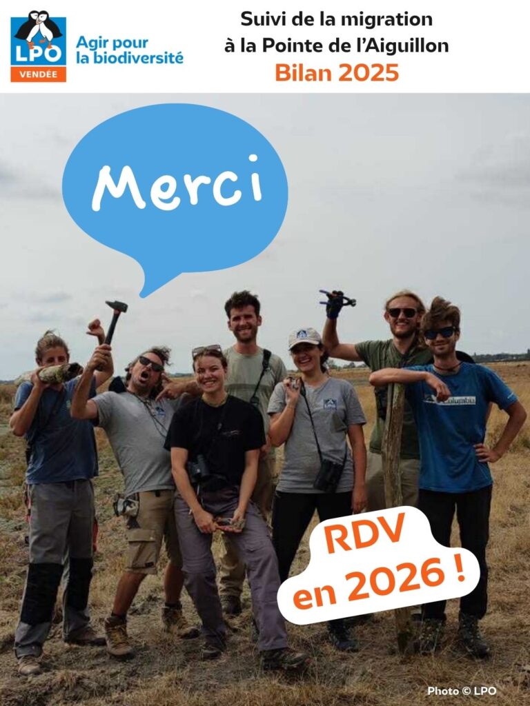 Suivi de la migration à la Pointe de l'Aiguillon : Bilan de la saison 2025 : Merci - © LPO Vendée