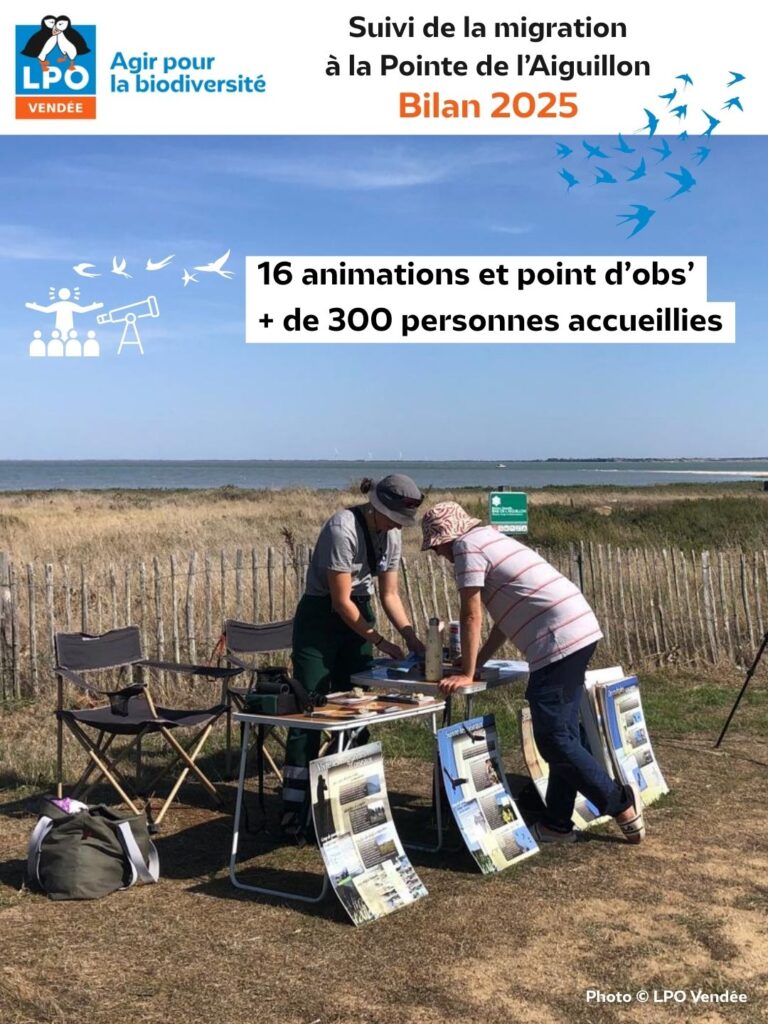 Suivi de la migration à la Pointe de l'Aiguillon : Bilan de la saison 2025 : la Sensibilisation - © LPO Vendée