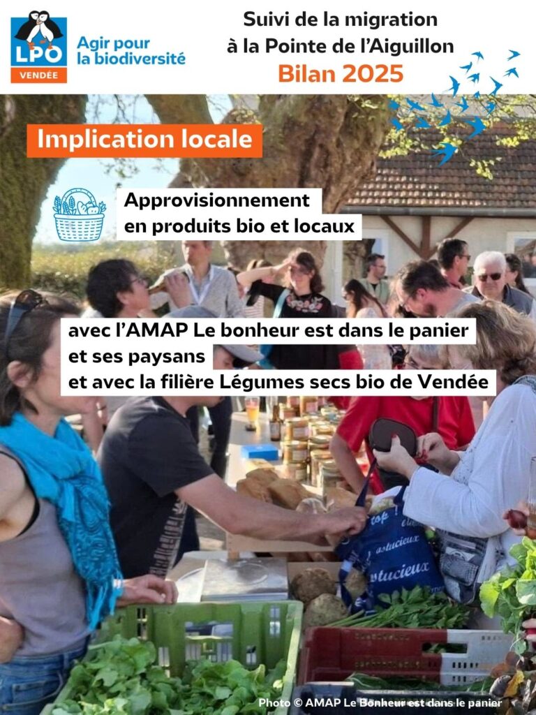 Suivi de la migration à la Pointe de l'Aiguillon : Bilan de la saison 2025 : des paniers bio pour nourrir les bénévoles - © LPO Vendée