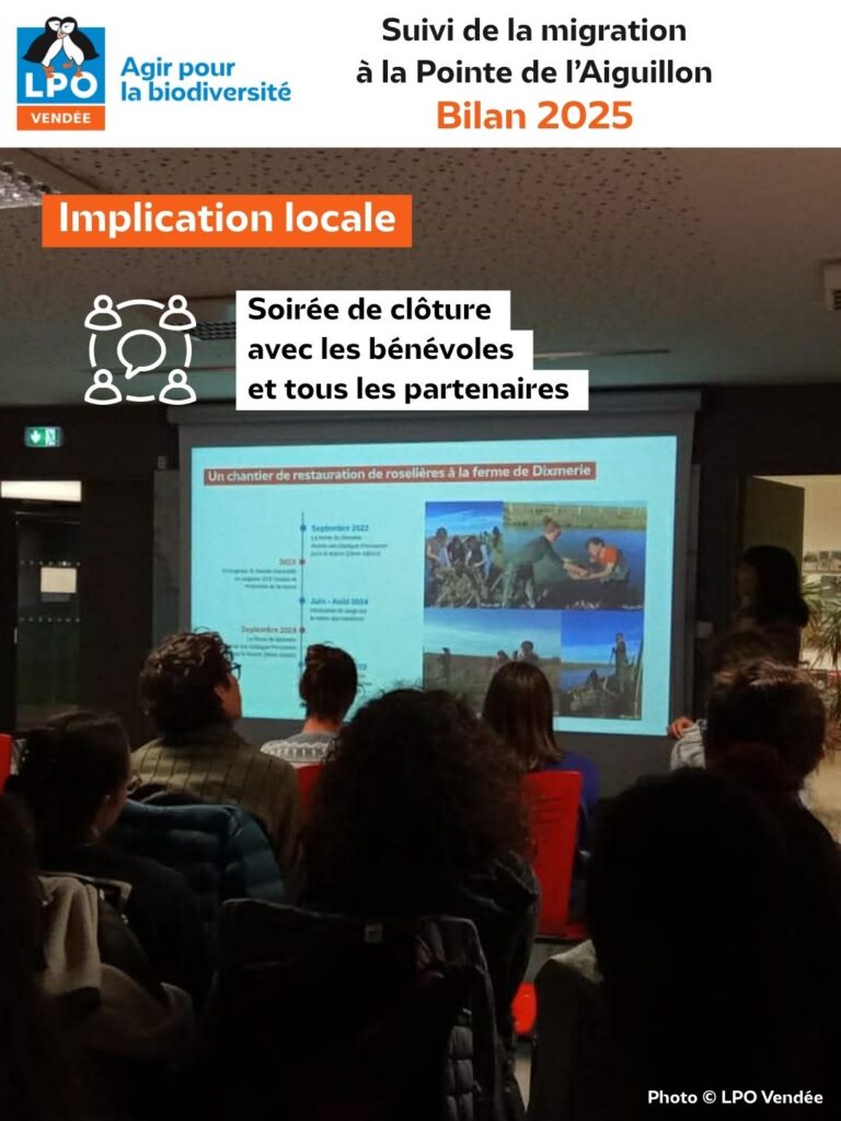 Suivi de la migration à la Pointe de l'Aiguillon : Bilan de la saison 2025 : soirée de clôture - © LPO Vendée
