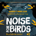 Noise for birds 5 : du bruit pour les oiseaux !