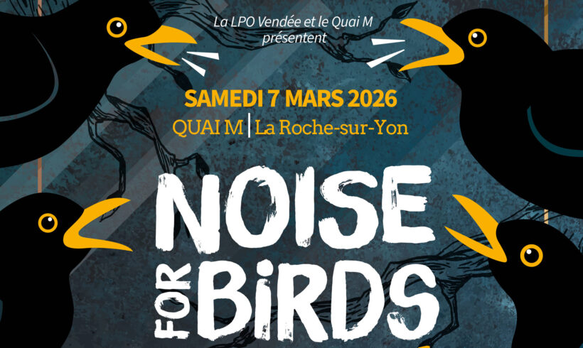 Noise for birds 5 : du bruit pour les oiseaux !