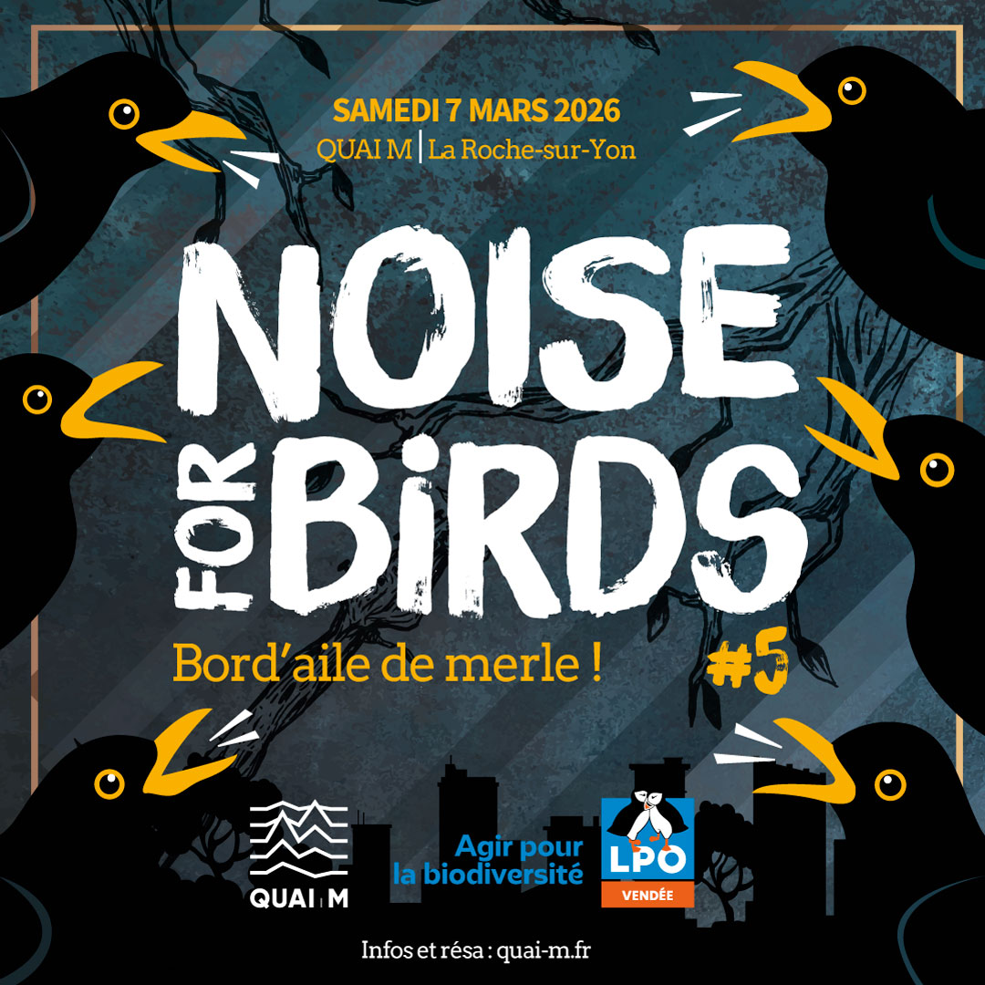 Noise for Birds 5